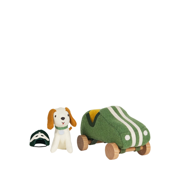 Holdie Dog-Go - Racer Boy - Green