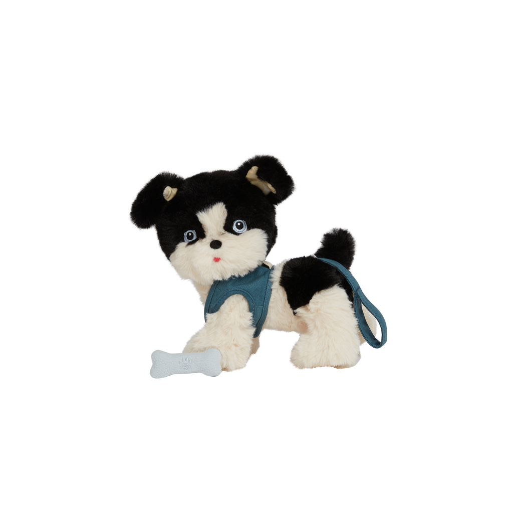 Dinkum Dogs - Lucky  Olli Ella UK