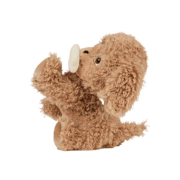 Dinkum Dogs - Goldie