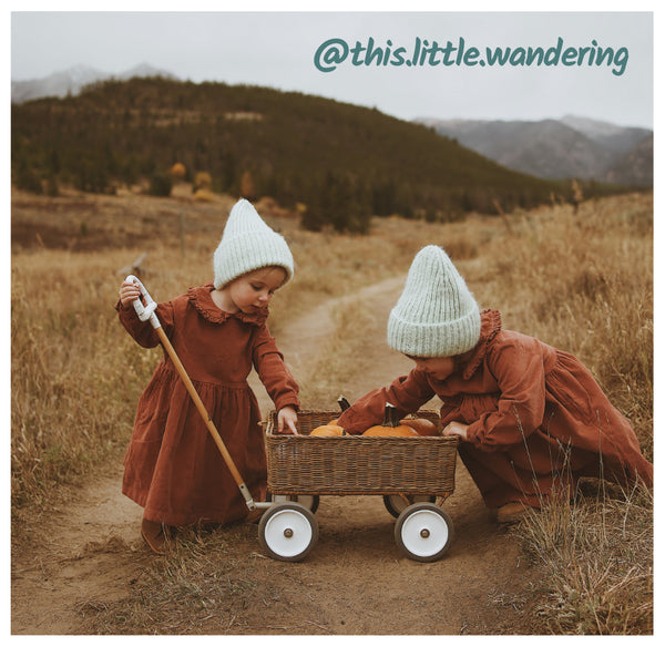 Wonder Wagon user generated content