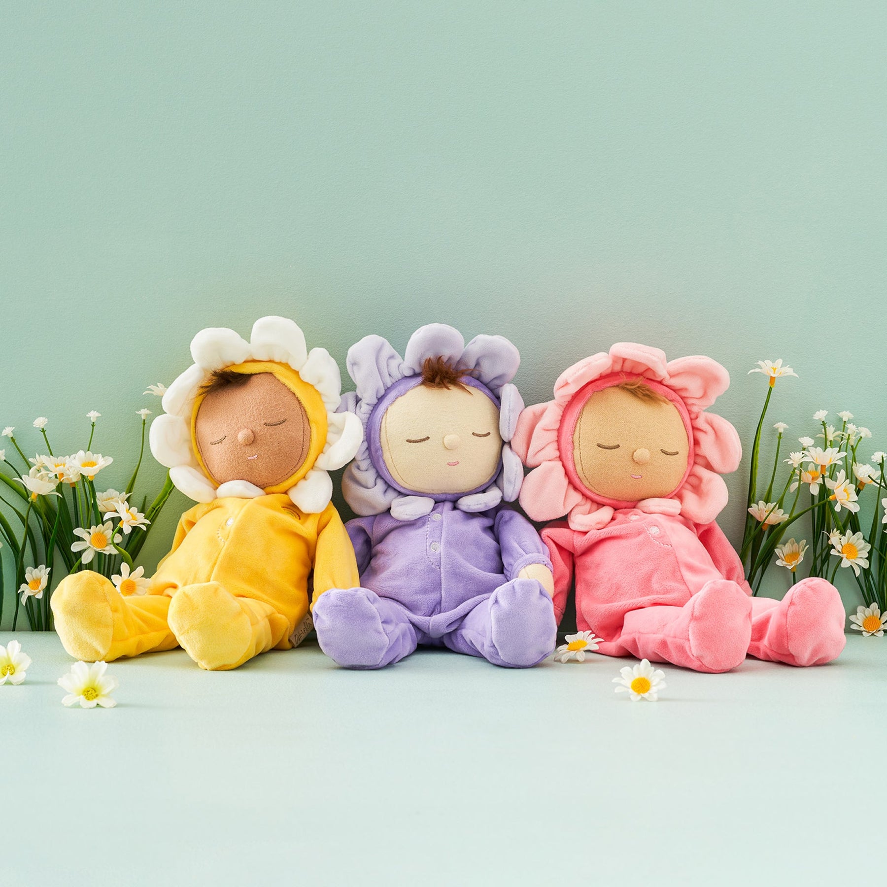 collections/petal_dozy_bundle_rollover.jpg - Oliliella