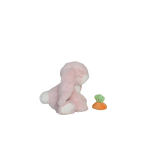 Plush toy dinosaur with a carrot on a white background