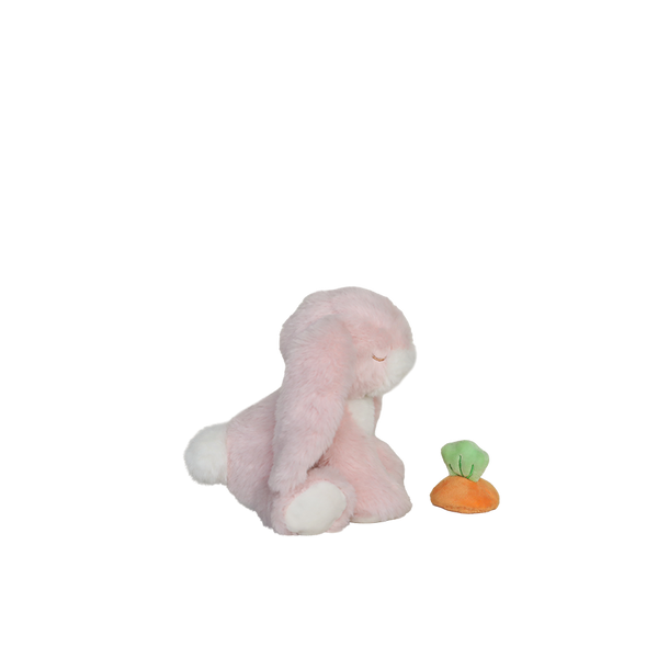 Plush toy dinosaur with a carrot on a white background