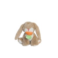 Plush toy rabbit holding a carrot on a white background