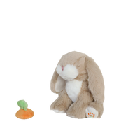 Plush rabbit toy with a small carrot on a white background