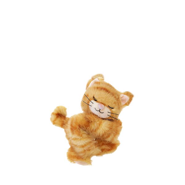 Plush toy cat on a white background