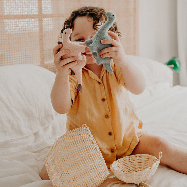 Holdie Set - Dinosaurs