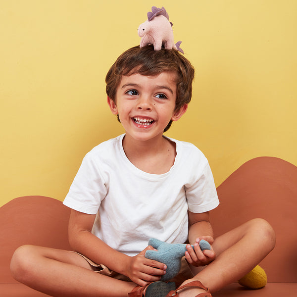 Holdie Set - Dinosaurs